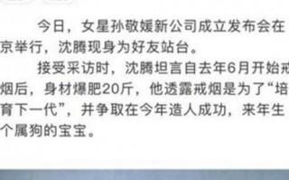 沈腾妻子个人资料简介，沈腾妻子个人资料简介图片