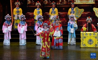 山东梆子名家名段集锦，山东梆子名家名段集锦视频