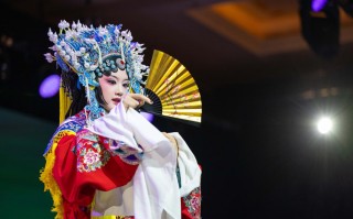 扬剧珍珠塔全场视频，扬剧珍珠塔全集