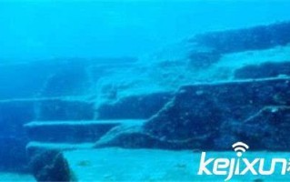 百慕大三角的诡异生物，百慕大三角的诡异生物是什么