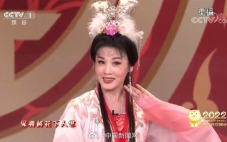 韩再芬央视春晚黄梅戏，韩再芬央视春晚黄梅戏唱段视频